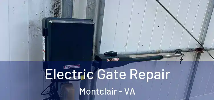  Electric Gate Repair Montclair - VA