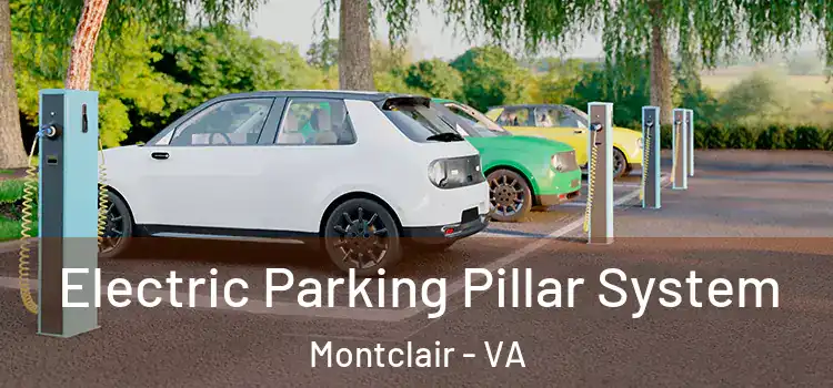  Electric Parking Pillar System Montclair - VA
