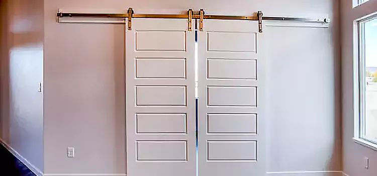 Glass Barn Door with Installation Hardware Kit Montclair