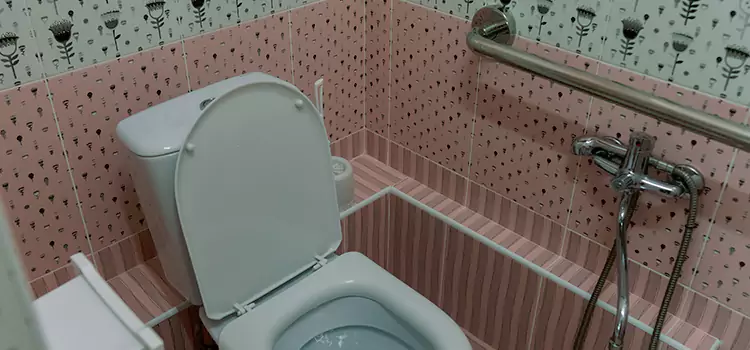 Meeting Diverse Needs With Accessible Restroom Solutions in Montclair, VA