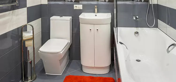 Hansgrohe Shaving Mirror Montclair