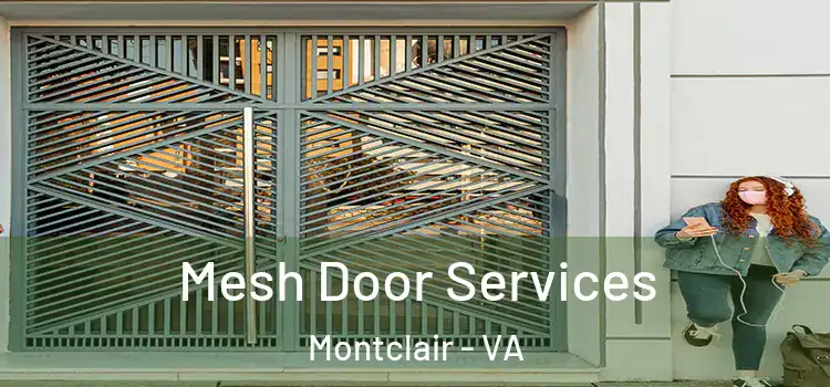 Mesh Door Services Montclair - VA